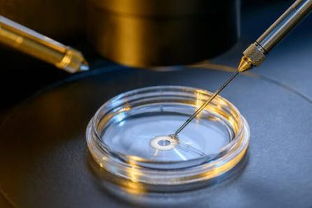 2026在胶州市做基因检测多少钱？基因筛查可以规避哪些遗传病？