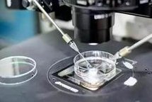 在黄石爱康医院做试管婴儿要多少钱？成功率怎么样？附试管怀孕机构名单一览