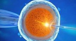 郑州三附院做三代试管多少钱 郑州三附院做试管费用明细