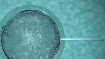 河池市生孩子做染色体检查有必要吗，筛查一次大概需要多少钱？