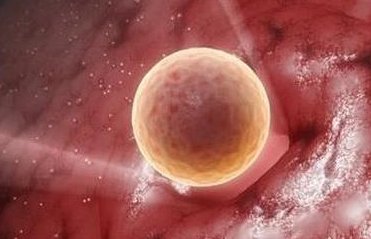 2026在扎兰屯市做基因检测多少钱？基因筛查可以规避哪些遗传病？