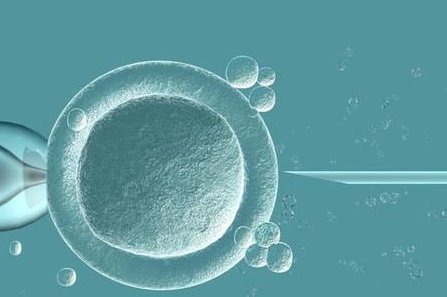 试管双胎风险有多大